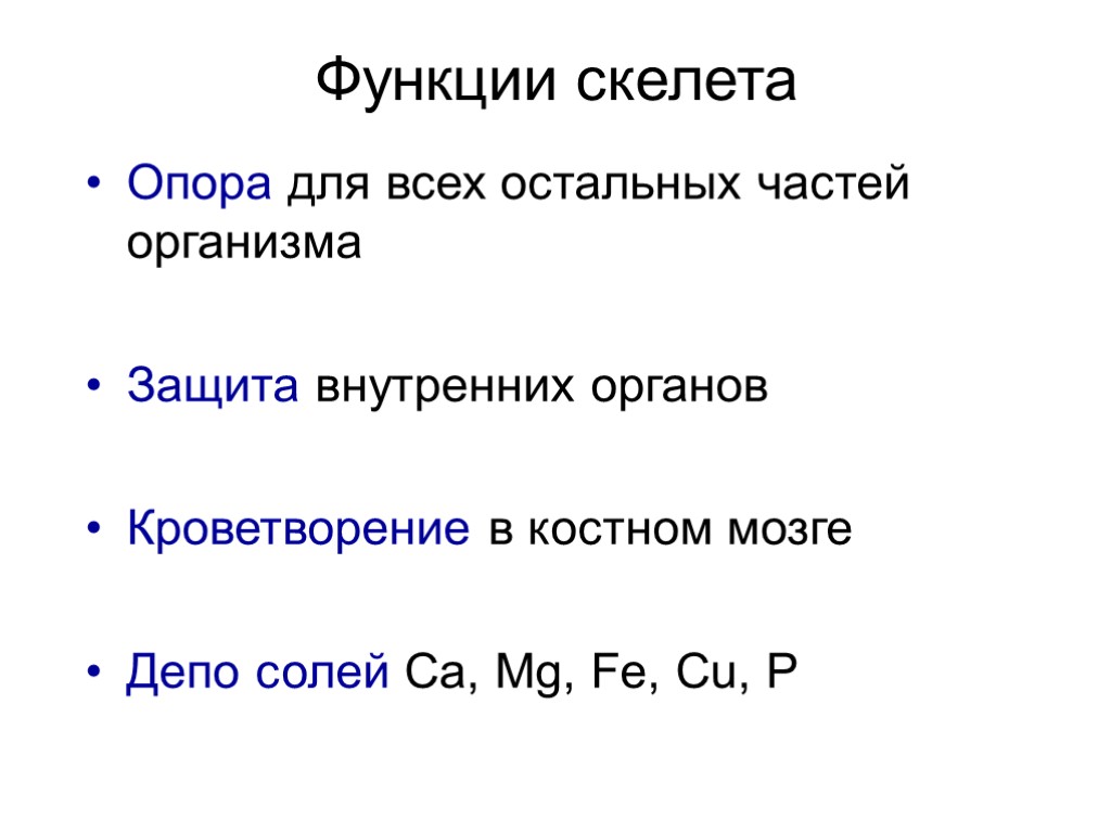 Опора для всех остальных частей организма Защита внутренних органов Кроветворение в костном мозге Депо